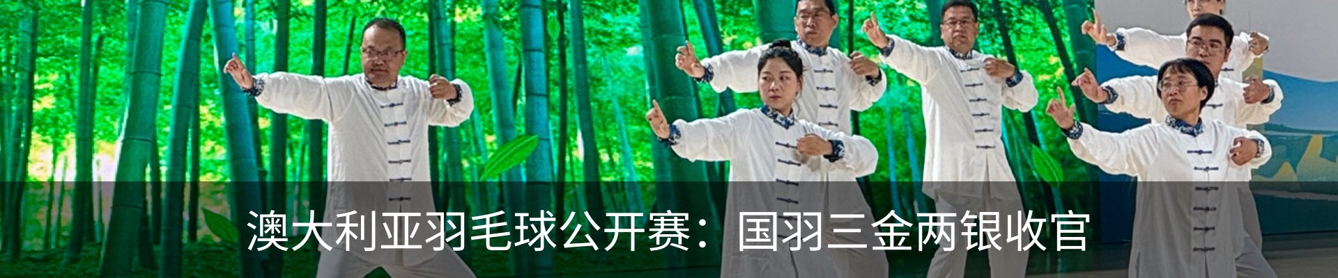 最新动态